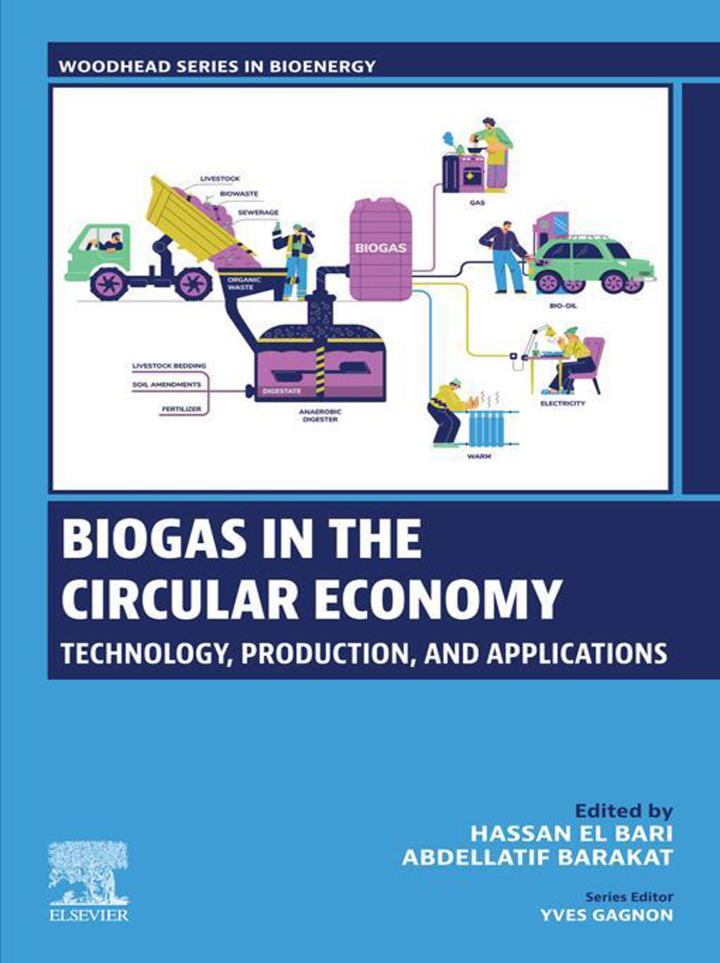 Biogas in the Circular Economy: Technology, Production, and Applications