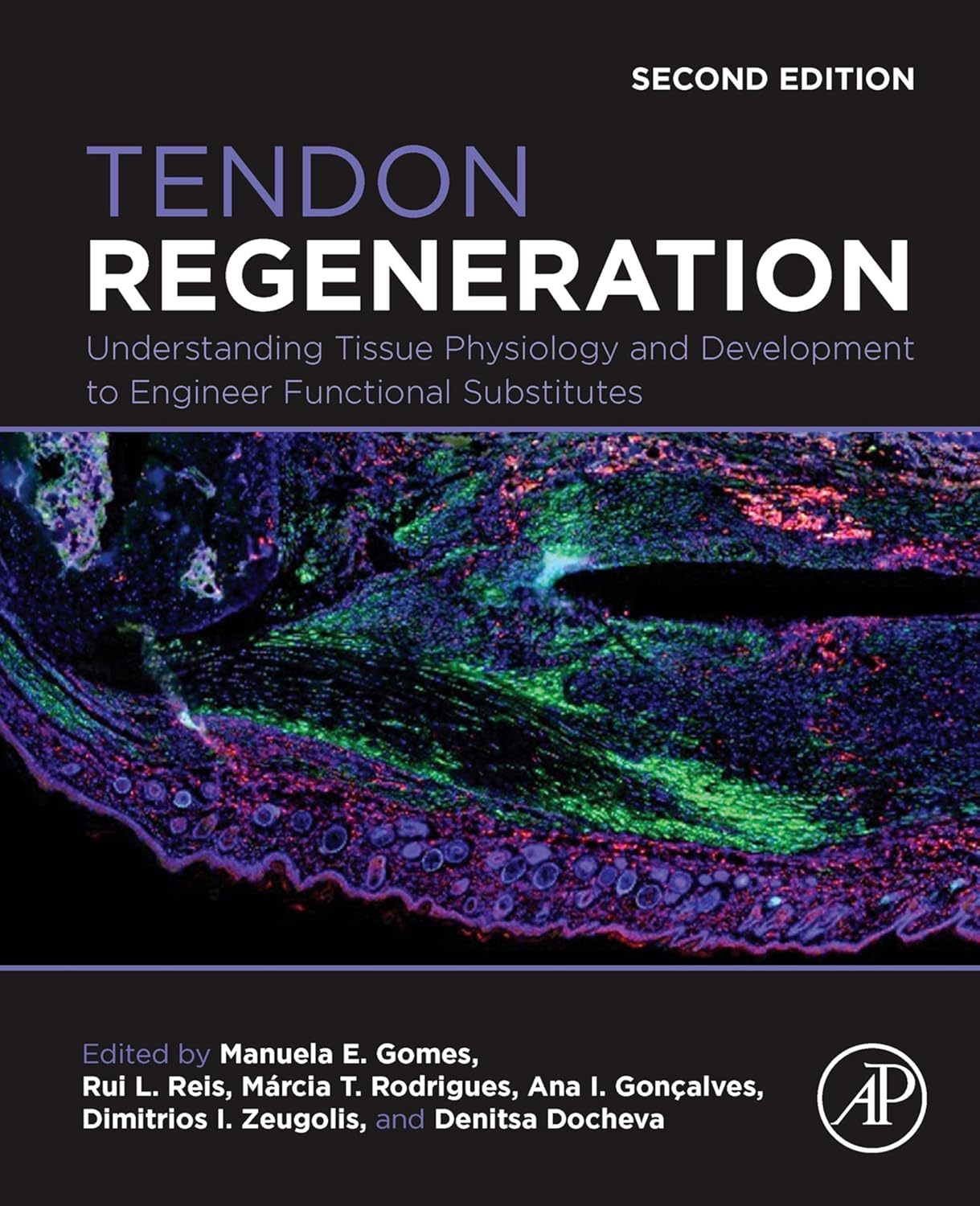 Tendon Regeneration: Understanding Tissue Physiology and Development to Engineer Functional Substitutes 2nd Edition